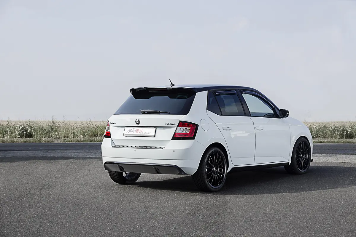 Fabia III Heck